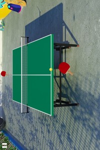 скриншот Virtual Table Tennis 3