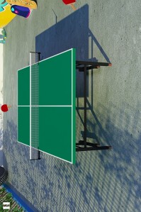 скриншот Virtual Table Tennis 3