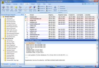 скриншот Domain Punch Professional